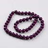 Dyed Natural Fossil Beads Strands G-E328-8mm-05-3