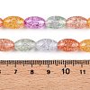 Transparent Crackle Glass Beads Strands GLAA-S192-B-010J-2