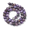 Natural Charoite Beads Strands G-C270-O02-05-3