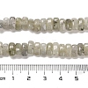 Natural Labradorite Beads Strands G-Q167-B19-01-5