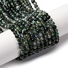 Natural Moss Agate Beads Strands G-A129-4mm-01-2