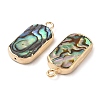 Natural Paua Shell Pendants SHEL-P017-22G-2