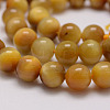 Natural Tiger Eye Bead Strands G-P230-08-E-12mm-3