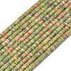 Natural Unakite Beads Strands G-P575-B25-4x1mm-2