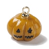 Halloween Opaque Resin Charms RESI-E018-01C-2