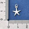 925 Sterling Silver Charms STER-Q003-01C-S-3