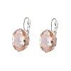 Oval Alloy Rhinestone Leverback Earrings FS-WG5DBAA-02-2