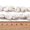 Natural Seashell Shell Beads Strands SH-CBAFA8D-01-4
