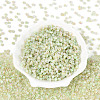 6/0 Glass Seed Beads SEED-N008-07E-2