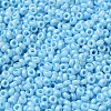 Baking Paint Glass Seed Beads SEED-P006-03A-26-3