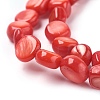 Freshwater Shell Beads Strands BSHE-O017-07-3