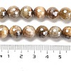 Electroplated Natural Tiger Eye Round Beads Strands G-L598-A04-03-5