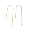 316 Surgical Stainless Steel Earring Hooks STAS-Z124-02D-G-1