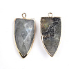 Natural Labradorite Pendants G-S344-26-2