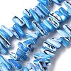 Dyed Natural Trochus Shell Beads Strands SSHEL-C013-09F-1