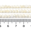 Shell Beads Strands SSHEL-E571-38-4mm-5