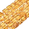 Natural Amber Beads Strands G-C260-A01-03-2