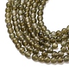 Natural Labradorite Beads Strands G-Z116-A04-3mm-4