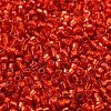 Glass Seed Beads X-SEED-S042-04B-10-3