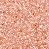 TOHO 11/0 Round Beads X-SEED-TR11-0169-2