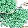 Imitation Jade Glass Seed Beads SEED-Z001-A-B10-1