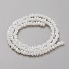 Glass Beads Strands GLAA-L031-01-C-4