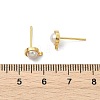 SHEGRACE Brass ABS Imitation Pearl Half Round Stud Earring Findings XGR0101G-118G-3