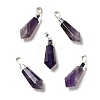 Natural Amethyst Pointed Pendants G-P474-02S-07-1