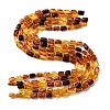 Gradient Color Natural Amber Beads Strands G-F803-D01-02-3