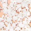 60Pcs Opaque Resin Decoden Cabochons RESI-SC0006-13-6