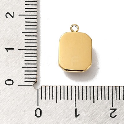 304 Stainless Steel Glass Pendants STAS-L022-062G-04-1
