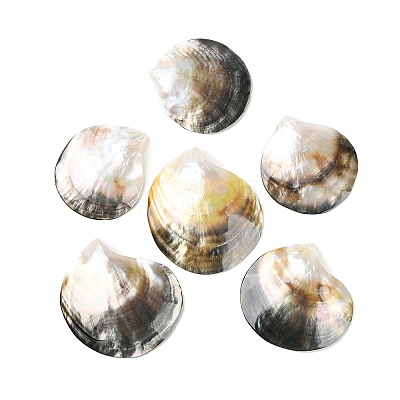 Natural Black Lip Shell BSHE-Z003-42-1