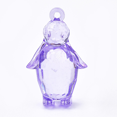 Transparent Acrylic Pendants TACR-S149-03-1