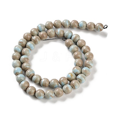 Natural Rainbow Alashan Agate Beads Strands G-NH0022-A07-02-1
