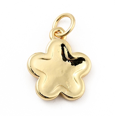 Rack Plating Brass Enamel Charms KK-G387-09G-06-1