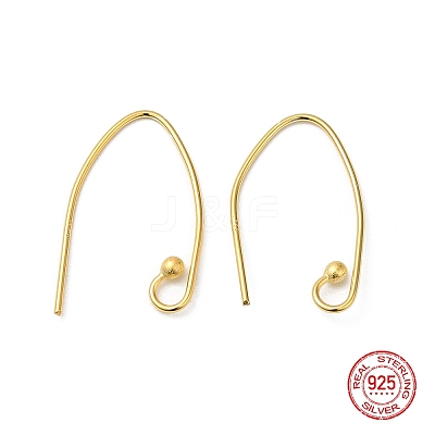925 Sterling Silver Earring Hooks STER-M117-01G-1