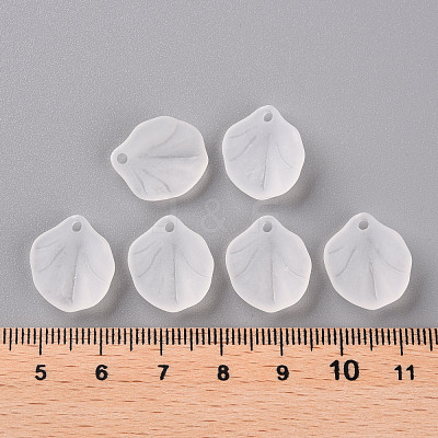 Transparent Frosted Acrylic Pendants MACR-S371-02A-701-1