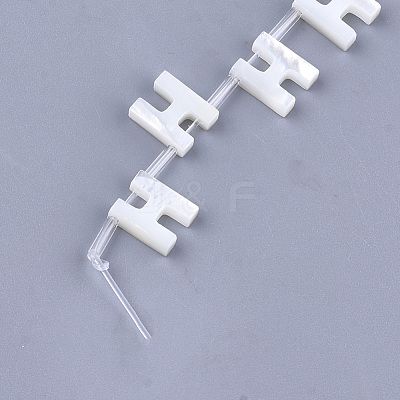 Natural Sea Shell Beads SHEL-T012-60H-1