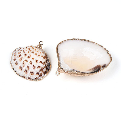 Electroplate Sea Shell Pendants X-SSHEL-T006-04-1
