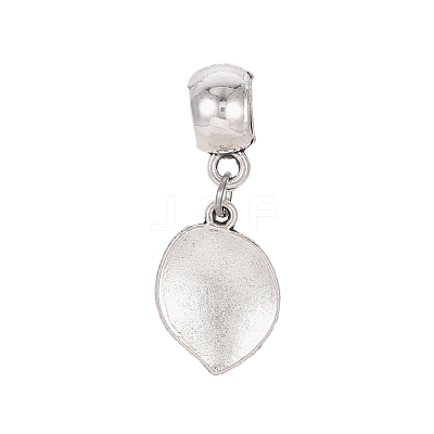 Alloy Enamel European Dangle Charms MPDL-D022-E01-P-1