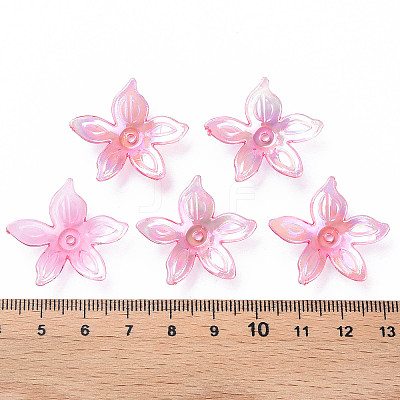 Transparent Acrylic Beads LS-MACR-S373-102-C01-1