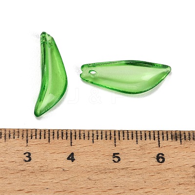 Transparent Acrylic Pendants AC-CBA5040-01J-1