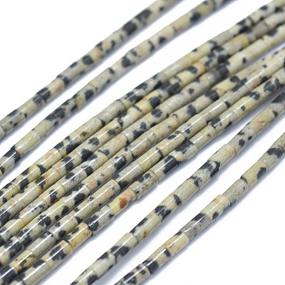 Natural Dalmatian Jasper Beads Strands G-F631-B07-1