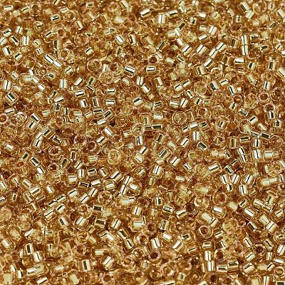 MIYUKI Delica Beads X-SEED-J020-DB2521-1