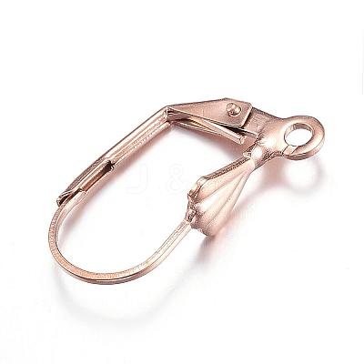 Ion Plating(IP) 304 Stainless Steel Leverback Earring Findings STAS-D167-59RG-1