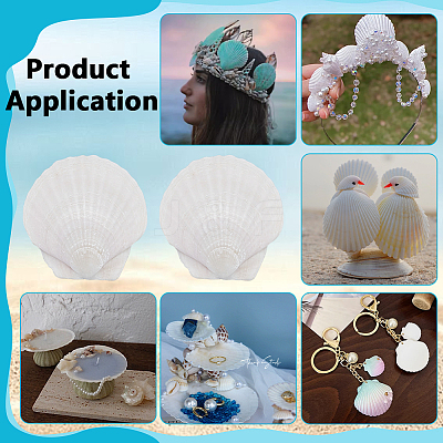 80Pcs Natural Shell Ornaments DIY-WA0001-03-1