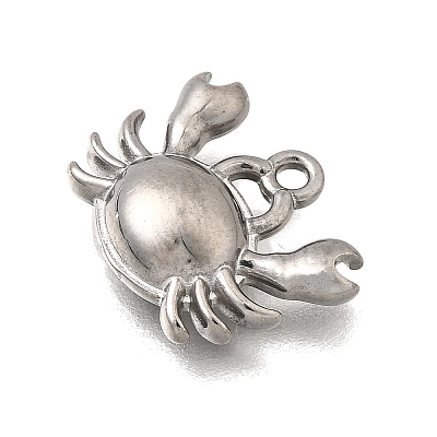 Ocean Series 304 Stainless Steel Charms STAS-H477-01B-P-1