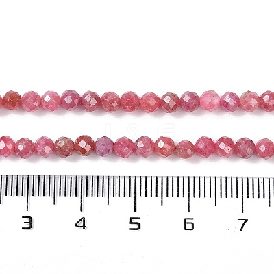 Natural Rhodonite Beads Strands G-G139-A16-03-1
