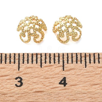 Brass Bead Caps KK-C260-19B-G-1