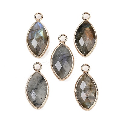 Natural Labradorite Faceted Pendants G-G193-01G-10-1